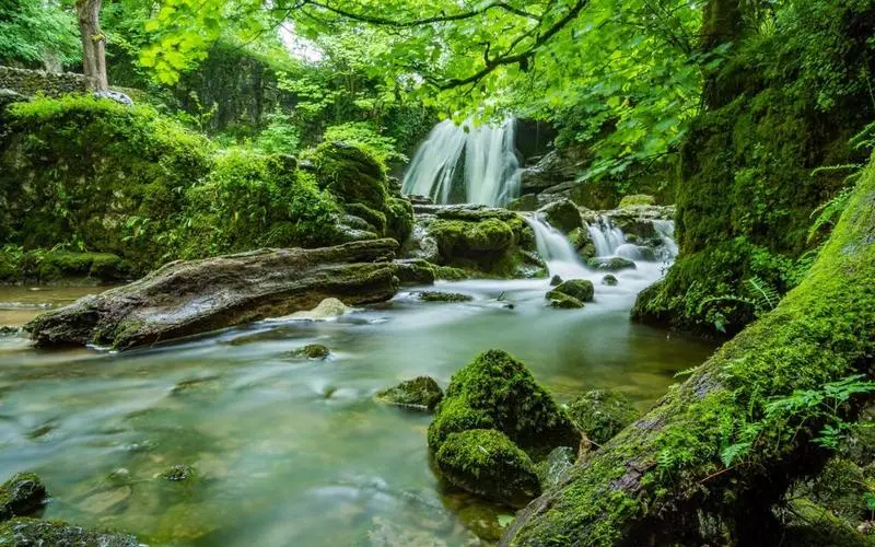 高标准独特